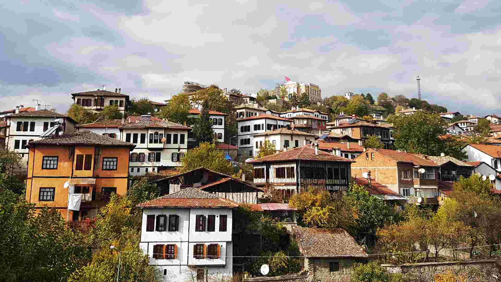 Wine tasting in vineyard